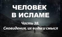 Сновидения, их виды и смысл 